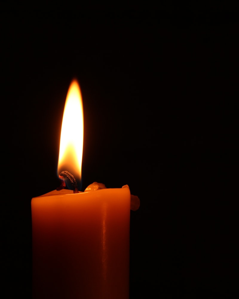 Grove Soy Candle